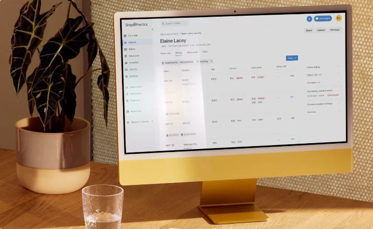 SimplePractice billing and payments interface