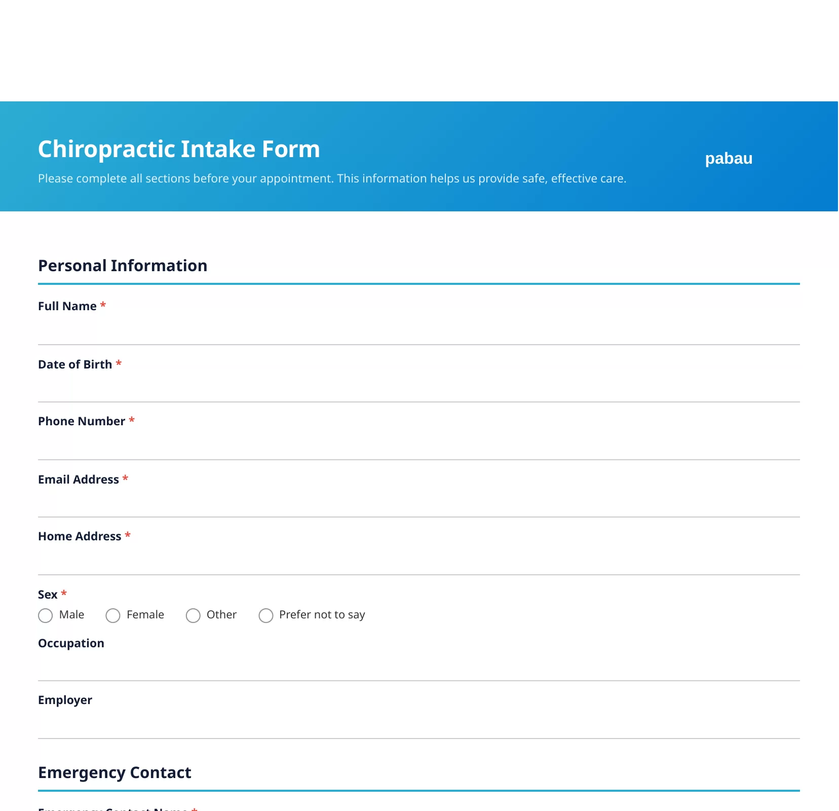 Chiropractic intake form template preview