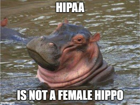 Hipaa is not a female hipoo