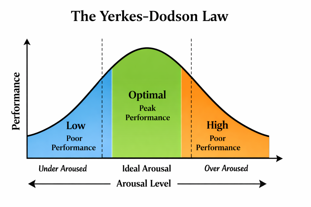 The Yerkes-Dodson law curve