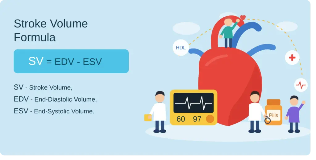 Stroke volume equation illustration: SV equals EDV minus ESV