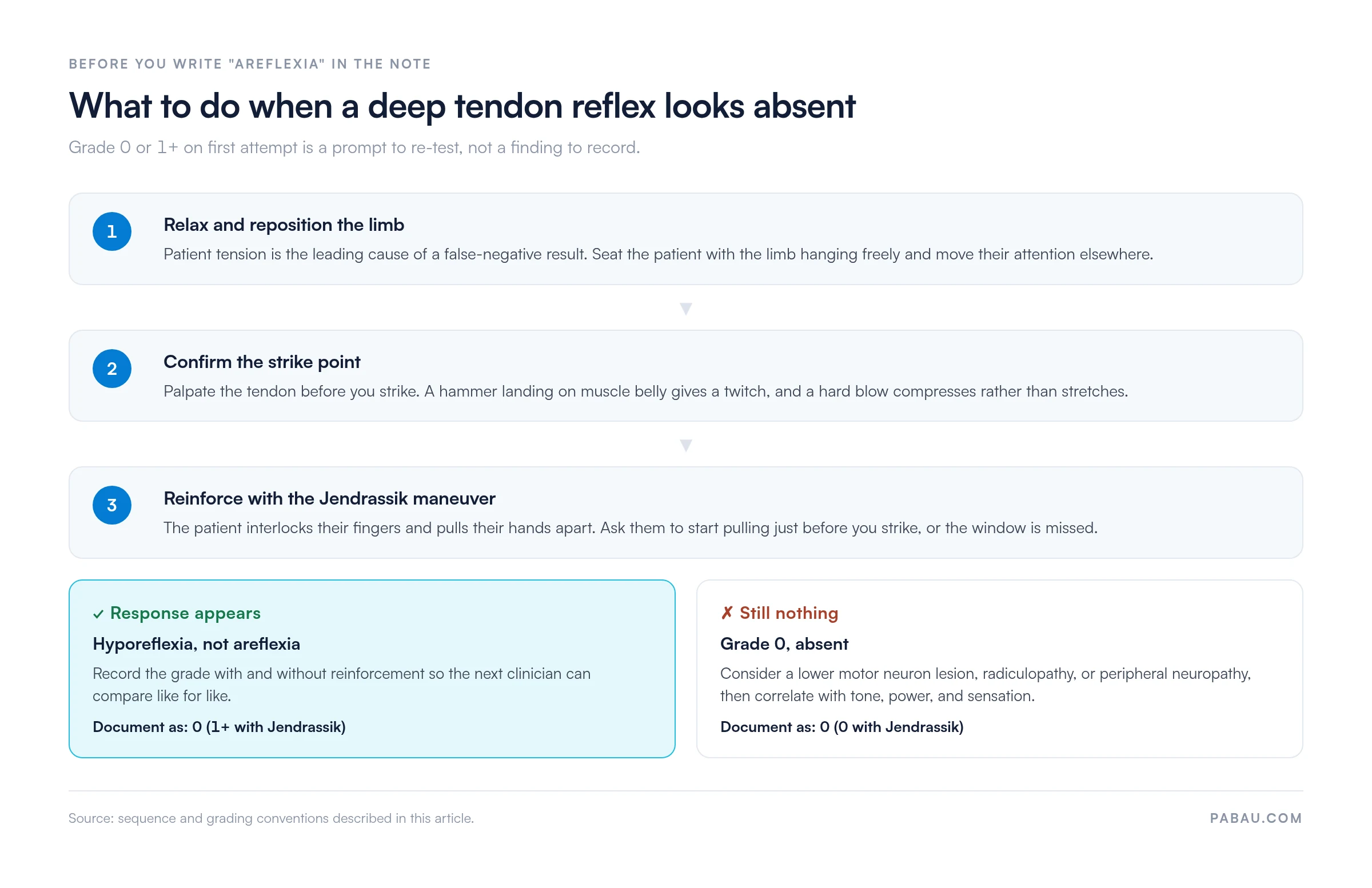 Decision flow for an absent deep tendon reflex: relax and reposition the limb, confirm the strike point, then reinforce with the Jendrassik maneuver. If a response appears, document as 0 with 1+ on reinforcement; if not, record grade 0 absent and consider lower motor neuron lesion, radiculopathy or peripheral neuropathy.