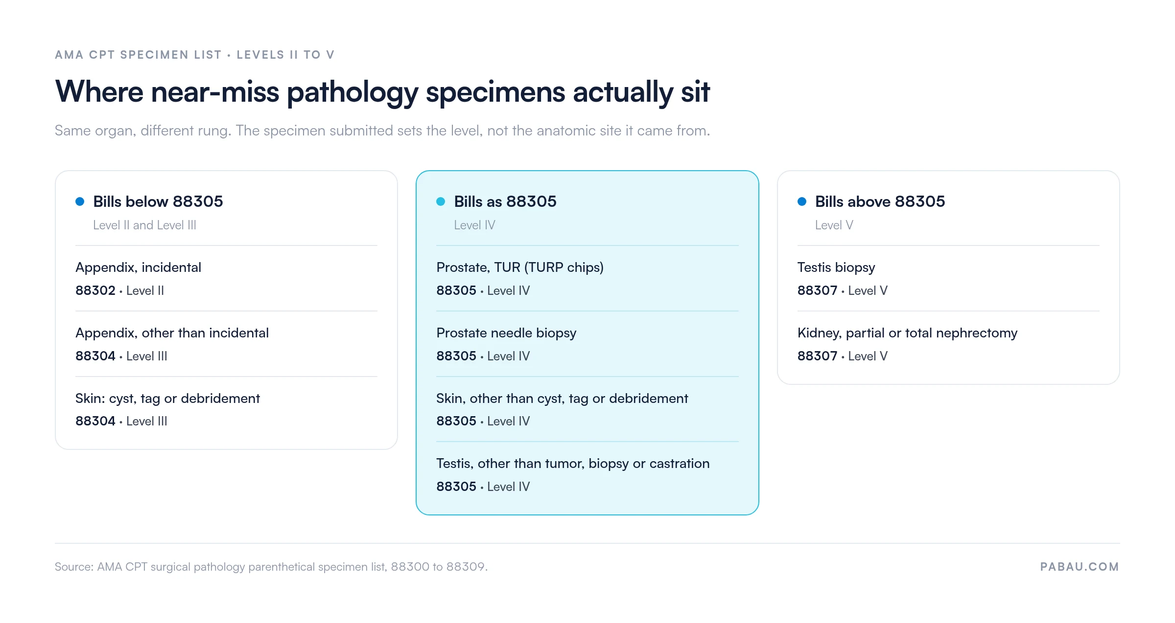 Grid of near-miss surgical pathology specimens: incidental appendix bills 88302 Level II; appendix other than incidental and skin cyst, tag or debridement bill 88304 Level III; prostate TUR, prostate needle biopsy, skin other than cyst, tag or debridement and testis other than tumor, biopsy or castration bill 88305 Level IV; testis biopsy and partial or total nephrectomy bill 88307 Level V
