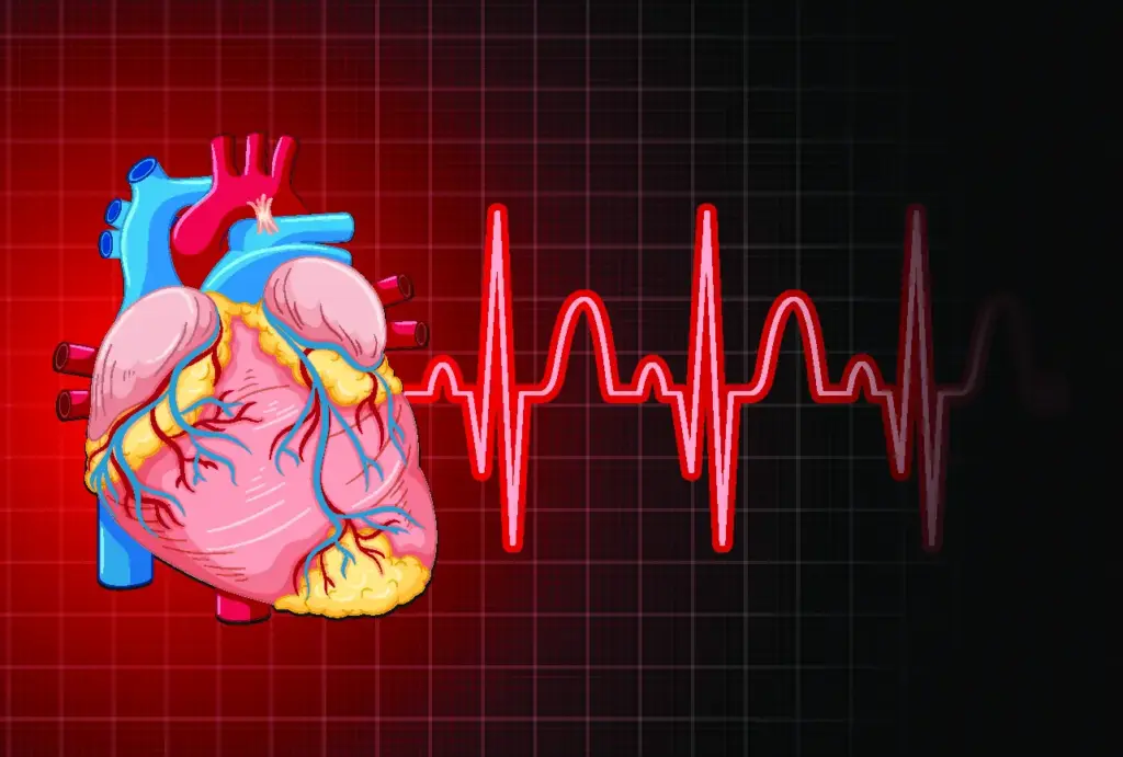 Heart rate graph.