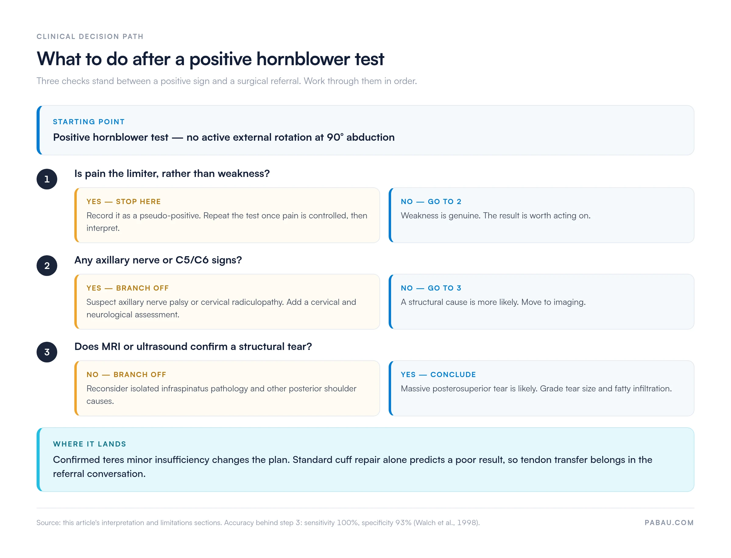 Decision path after a positive hornblower test result