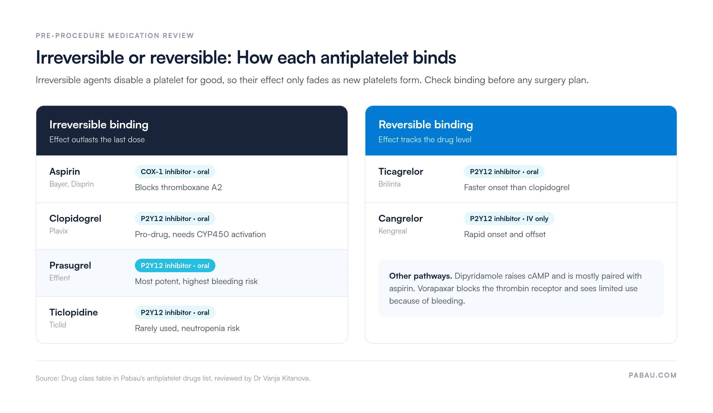 Two-column chart of antiplatelet binding. Irreversible: aspirin (COX-1, oral), clopidogrel (P2Y12, oral pro-drug needing CYP450), prasugrel (P2Y12, oral, highest bleeding risk), ticlopidine (P2Y12, oral, rarely used). Reversible: ticagrelor (P2Y12, oral, faster onset), cangrelor (P2Y12, IV only, rapid onset and offset). Dipyridamole and vorapaxar act on other pathways.