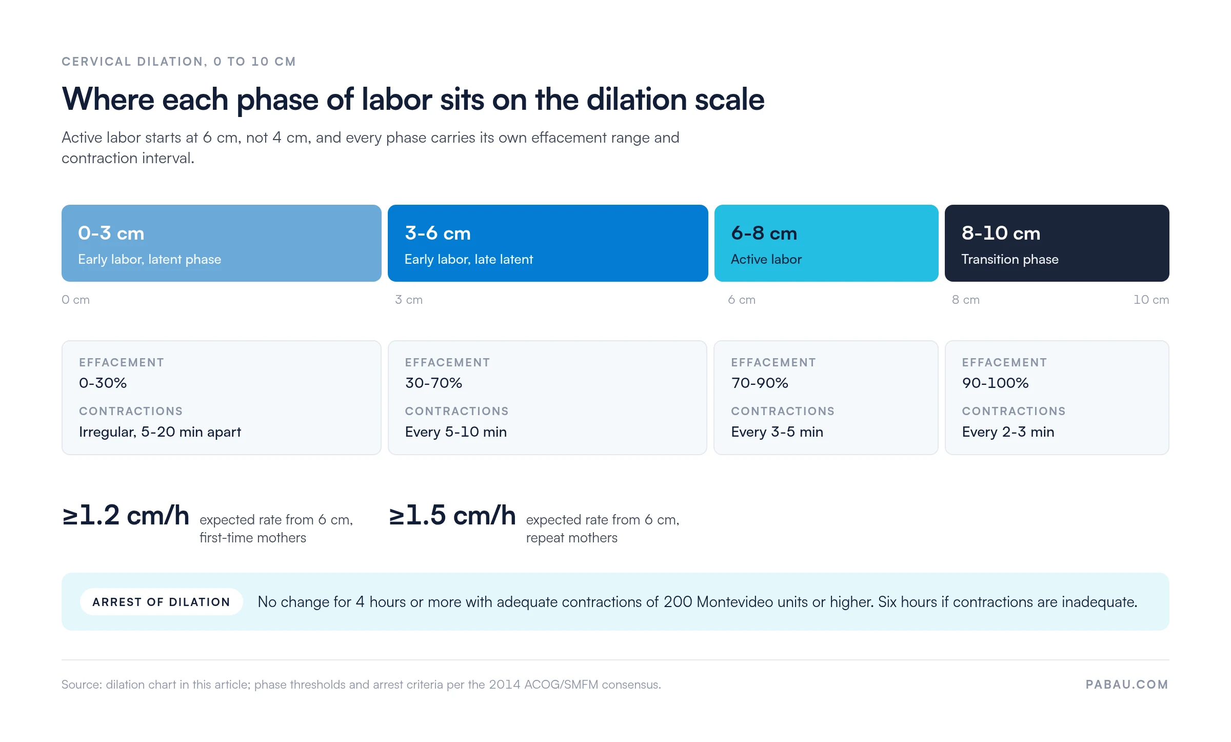 Dilation scale mapping four labor phases