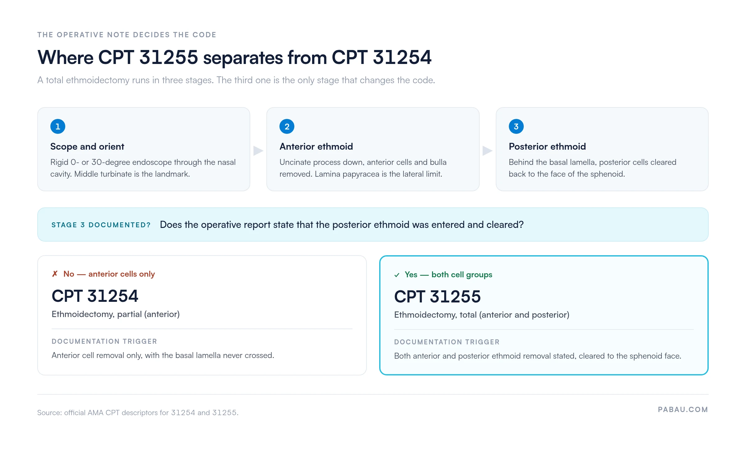 Decision diagram for CPT 31255 versus CPT 31254