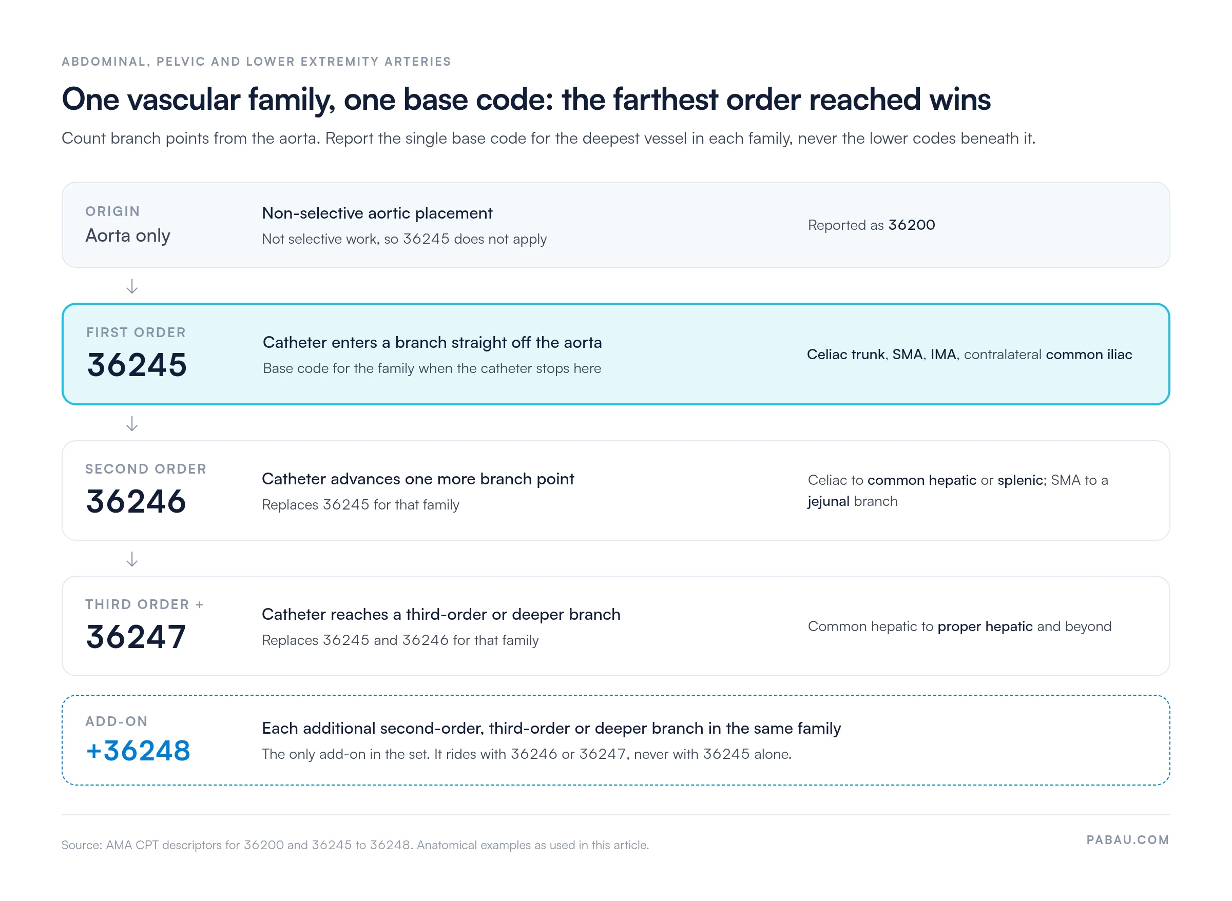 Ladder diagram of catheter order in one vascular family