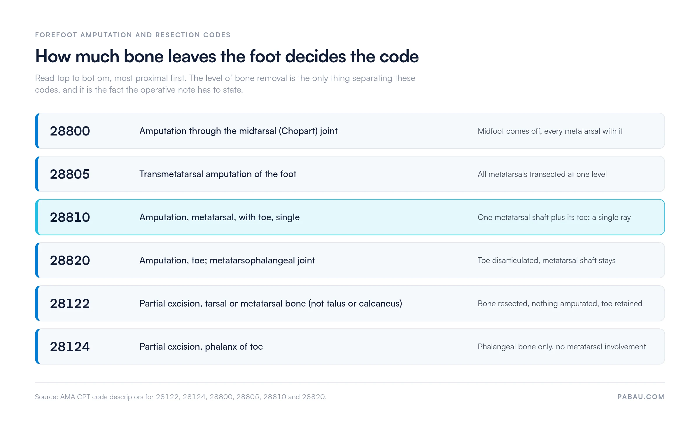 Forefoot CPT codes ordered by level of bone removal