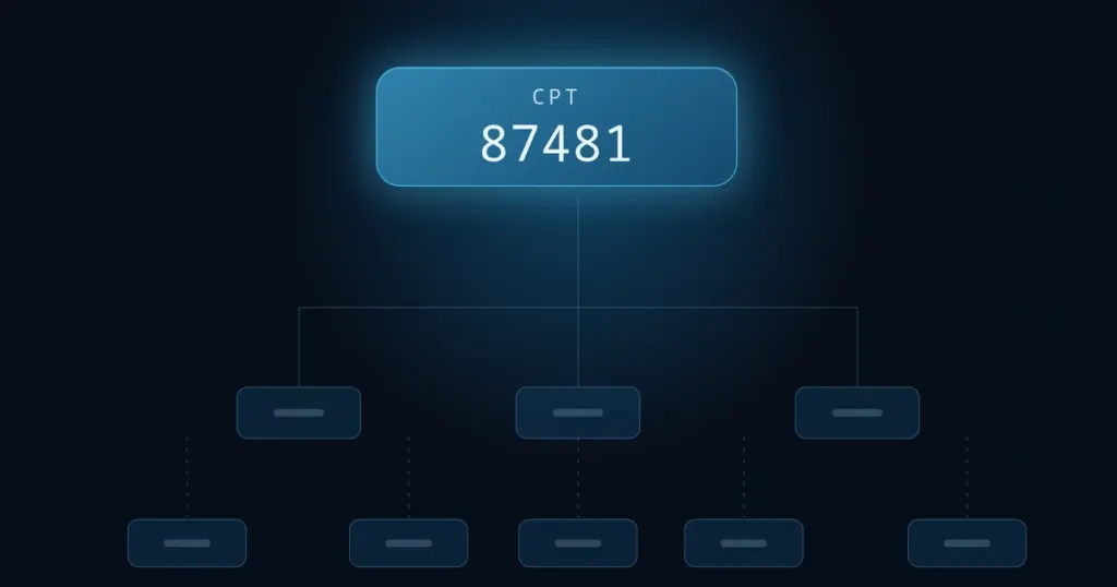 CPT Code 87481