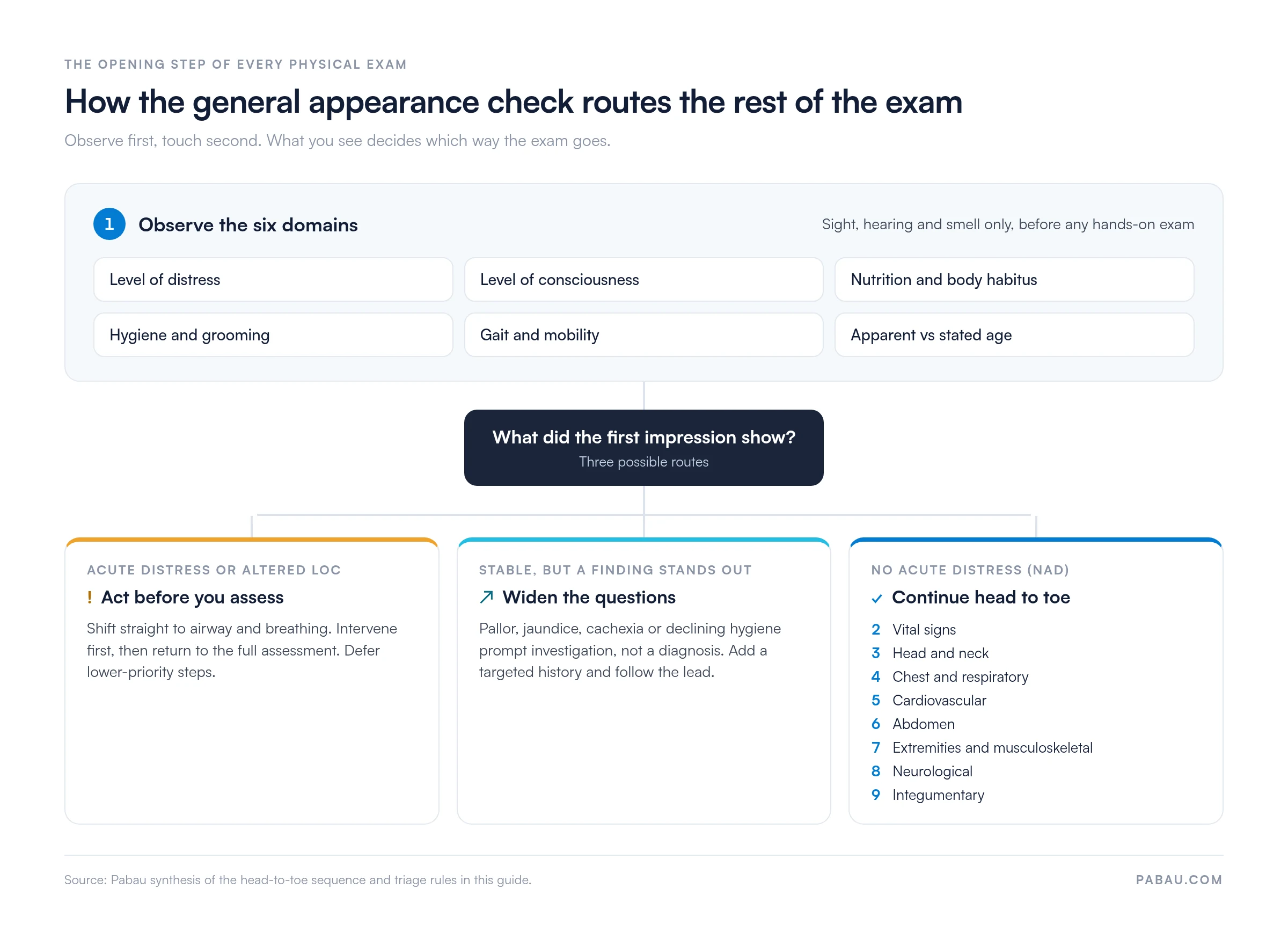 Flow diagram: observe six general appearance domains