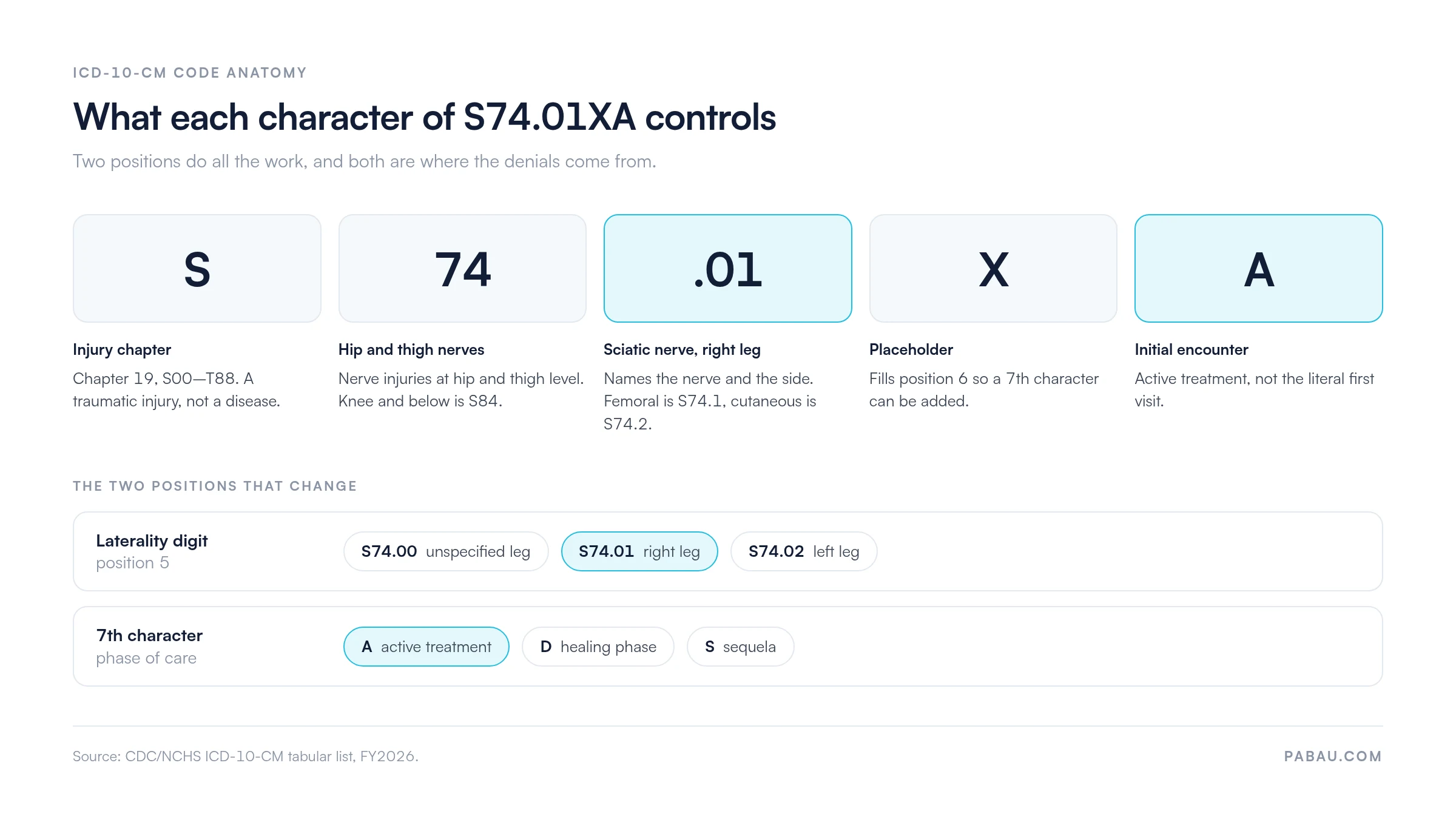 Anatomy of ICD-10-CM code S74.01XA: S is the injury chapter S00-T88, 74 is nerves at hip and thigh level, .01 is sciatic nerve right leg, X is the placeholder, A is initial encounter. Laterality digit options are S74.00 unspecified leg, S74.01 right leg, S74.02 left leg. Seventh character options are A active treatment, D healing phase, S sequela.