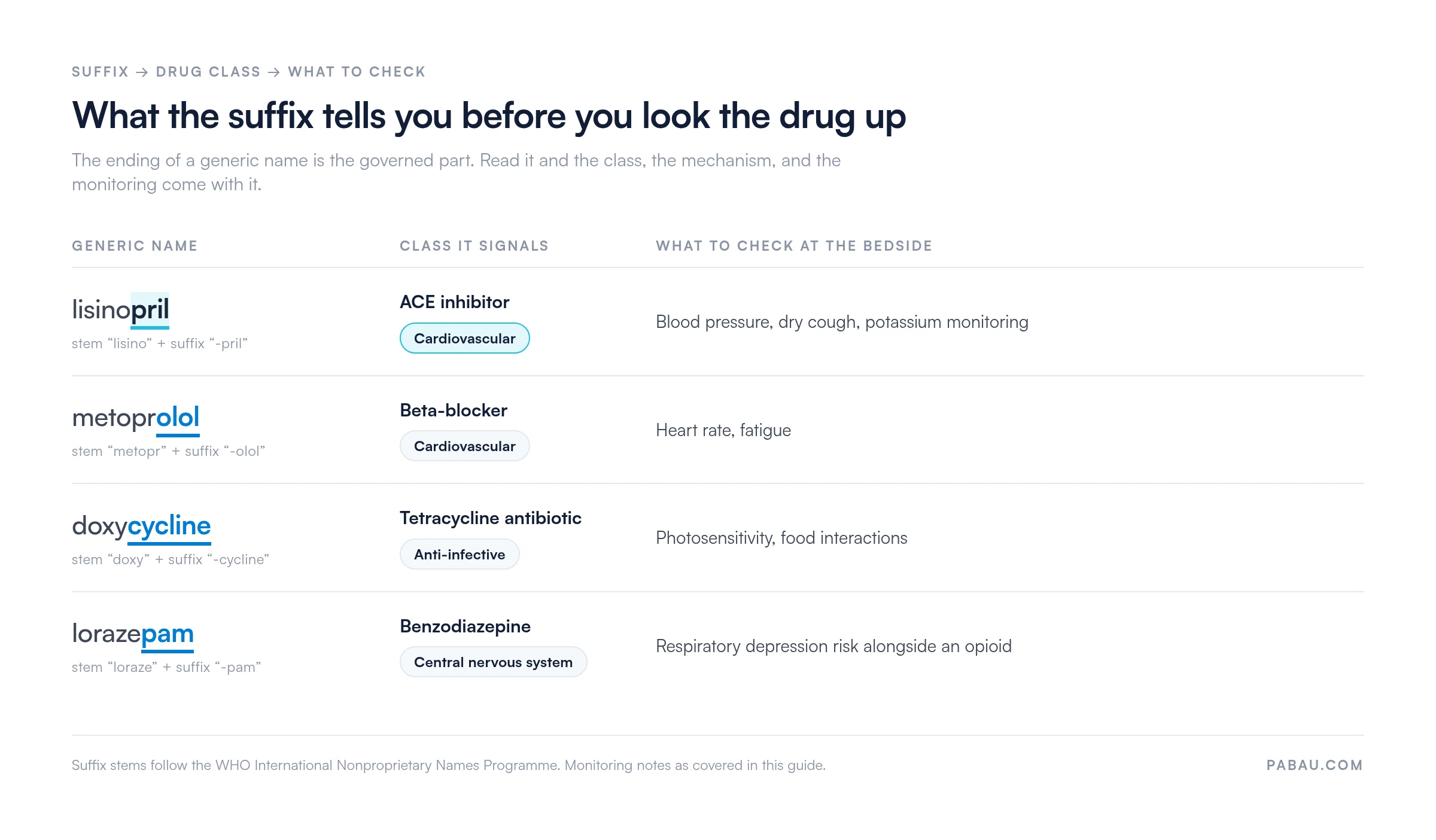 Reference table decoding generic drug name suffixes: lisinopril (-pril) is an ACE inhibitor needing blood pressure, dry cough and potassium checks; metoprolol (-olol) a beta-blocker needing heart rate and fatigue checks; doxycycline (-cycline) a tetracycline antibiotic with photosensitivity and food interactions; lorazepam (-pam) a benzodiazepine with respiratory depression risk alongside an opioid