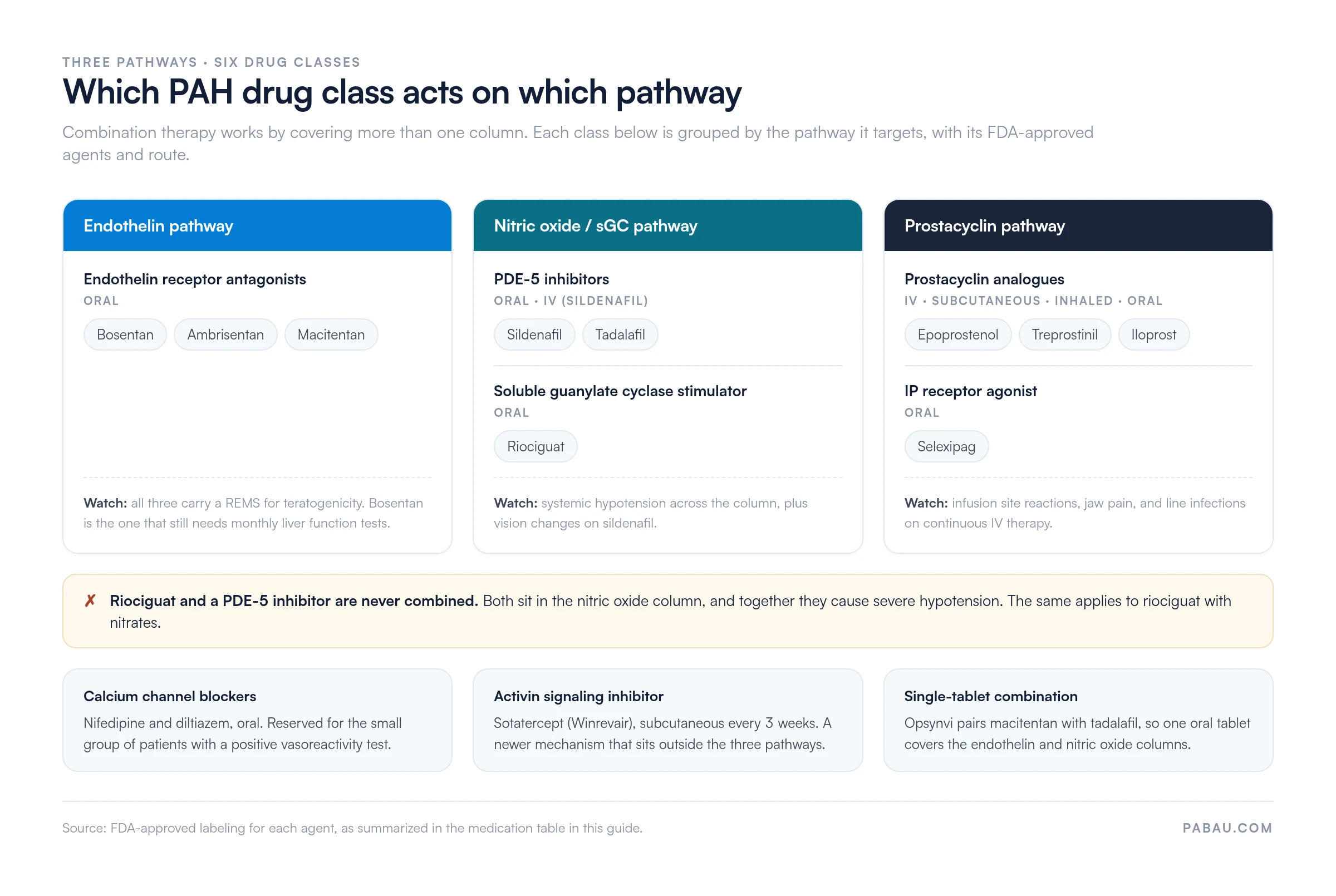 Chart mapping PAH drug classes to pathways