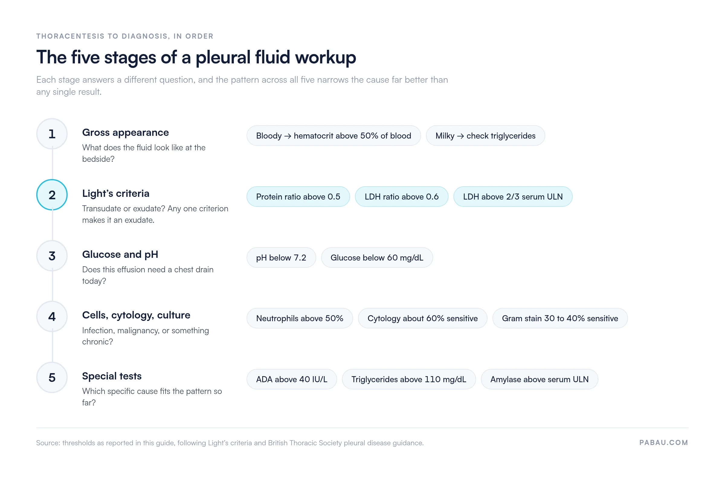 Five-stage pleural fluid workup flow