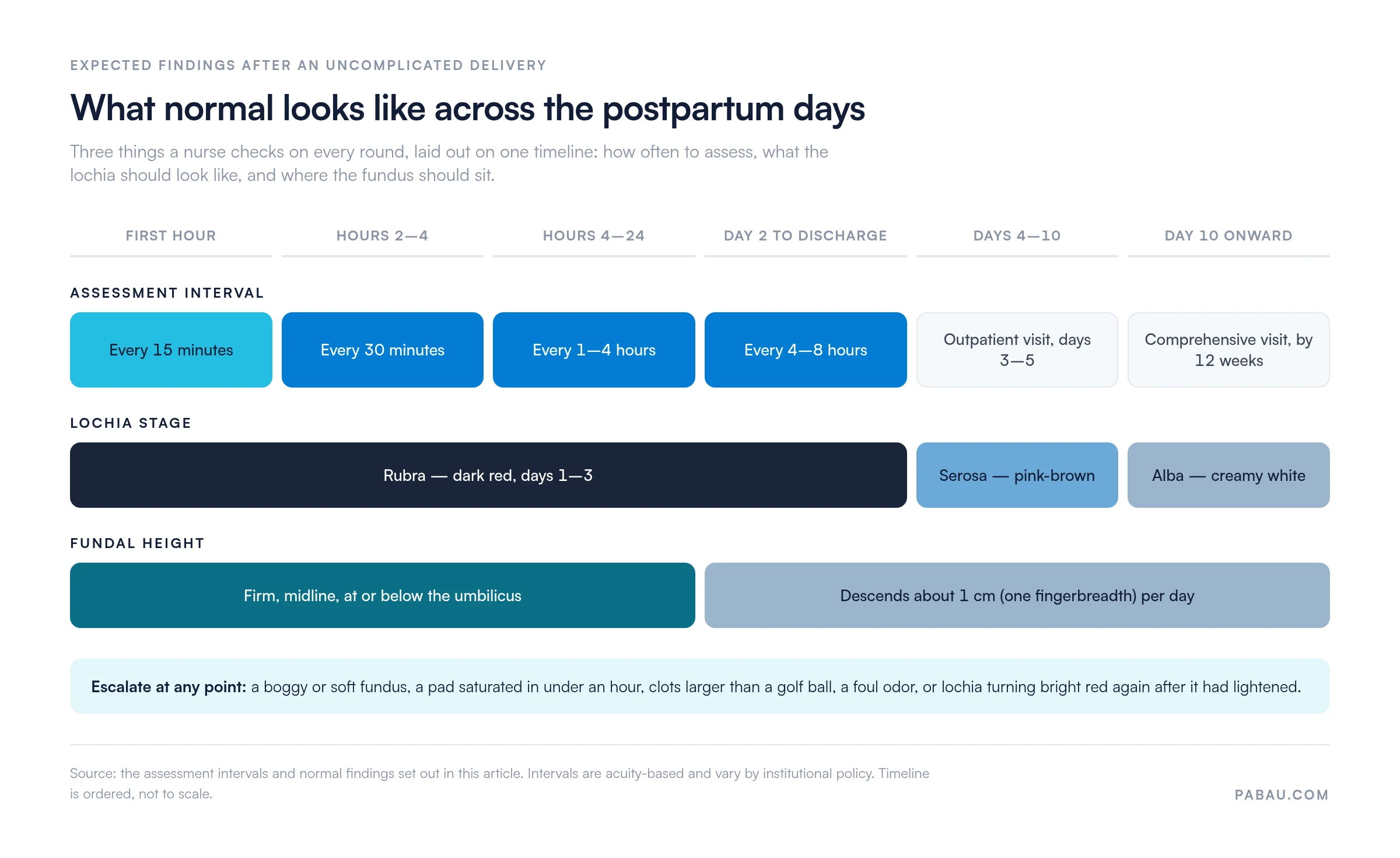 Timeline of expected postpartum findings: assessments every 15 minutes in the first hour, every 30 minutes hours 2 to 4, every 1 to 4 hours through 24 hours, every 4 to 8 hours to discharge, an outpatient visit on days 3 to 5 and a comprehensive visit by 12 weeks; lochia rubra days 1 to 3, serosa days 4 to 10, alba from day 10; fundus firm and at or below the umbilicus, descending about 1 cm per day