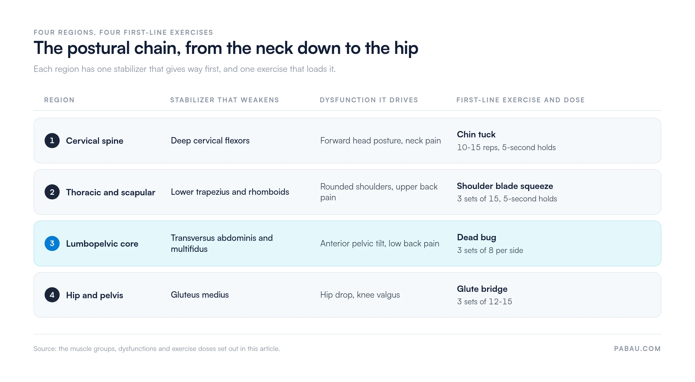 Reference card mapping four postural regions to the stabilizer that weakens and its first-line exercise: cervical spine, deep cervical flexors, chin tuck 10-15 reps with 5-second holds; thoracic and scapular, lower trapezius and rhomboids, shoulder blade squeeze 3 sets of 15; lumbopelvic core, transversus abdominis and multifidus, dead bug 3 sets of 8 per side; hip and pelvis, gluteus medius, glute bridge 3 sets of 12-15
