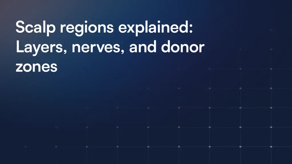 Scalp regions explained: Layers, nerves, and donor zones