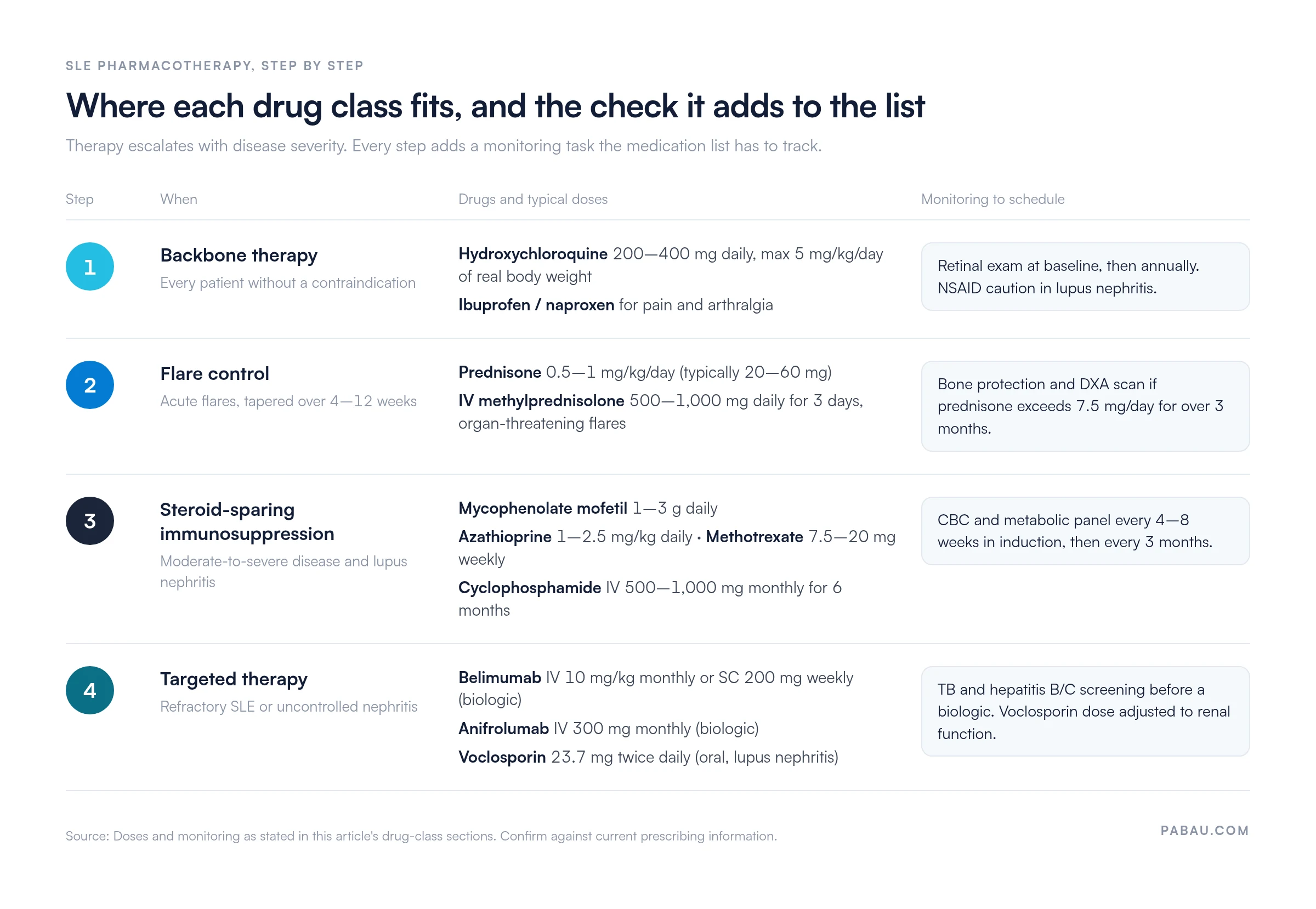 Four-step SLE treatment ladder: 1 hydroxychloroquine 200-400 mg daily (max 5 mg/kg/day) plus NSAIDs, retinal exam yearly; 2 prednisone 0.5-1 mg/kg/day or IV methylprednisolone 500-1,000 mg for 3 days, bone protection above 7.5 mg/day; 3 mycophenolate 1-3 g, azathioprine 1-2.5 mg/kg, methotrexate 7.5-20 mg weekly, cyclophosphamide 500-1,000 mg monthly, CBC and metabolic panel every 4-8 weeks; 4 belimumab, anifrolumab 300 mg monthly and oral voclosporin 23.7 mg twice daily, TB and hepatitis screening