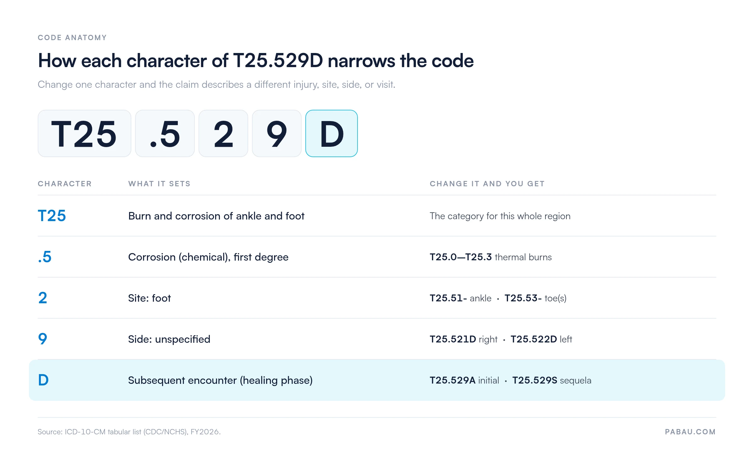 Breakdown of ICD-10-CM code T25.529D: T25 burn and corrosion of ankle and foot; .5 first-degree corrosion versus T25.0-T25.3 thermal burns; 2 foot versus T25.51 ankle and T25.53 toes; 9 unspecified side versus T25.521D right and T25.522D left; D subsequent encounter versus T25.529A initial and T25.529S sequela