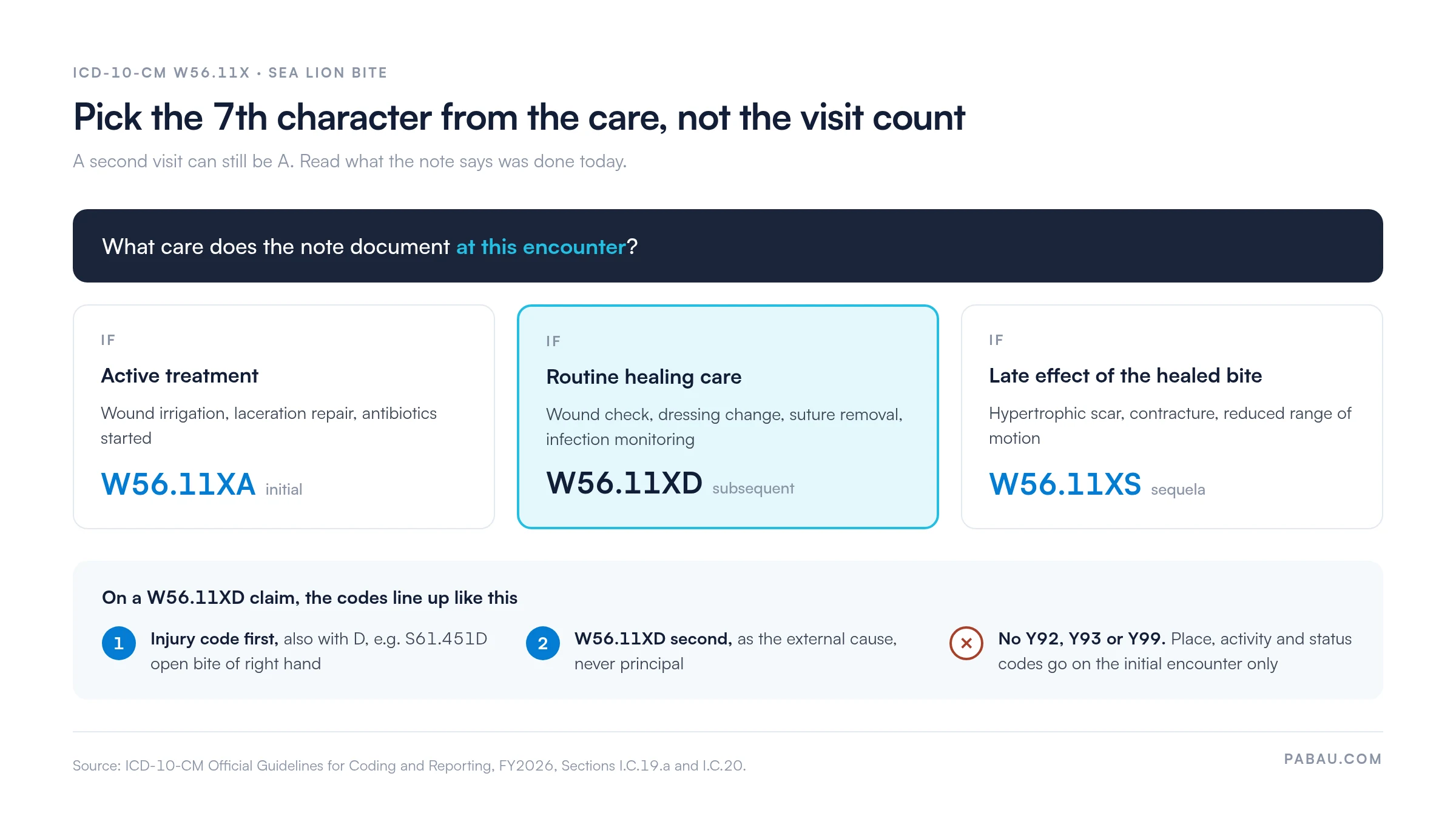 Decision diagram for sea lion bite coding: Active treatment is W56.11XA, routine healing care such as suture removal is W56.11XD, late effects such as scarring are W56.11XS. On a W56.11XD claim the injury code with 7th character D goes first, W56.11XD second, and no Y92, Y93 or Y99 codes are added.