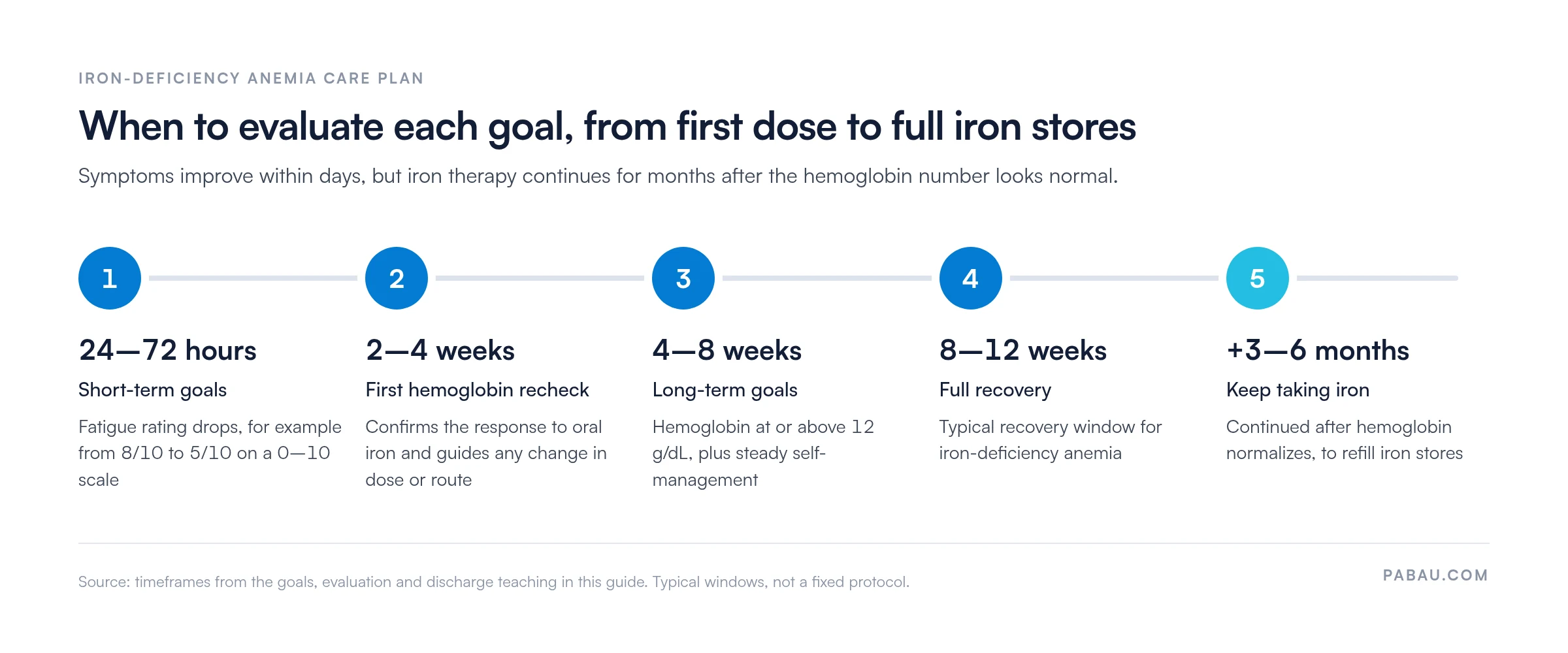 Timeline of iron-deficiency anemia care plan checkpoints.