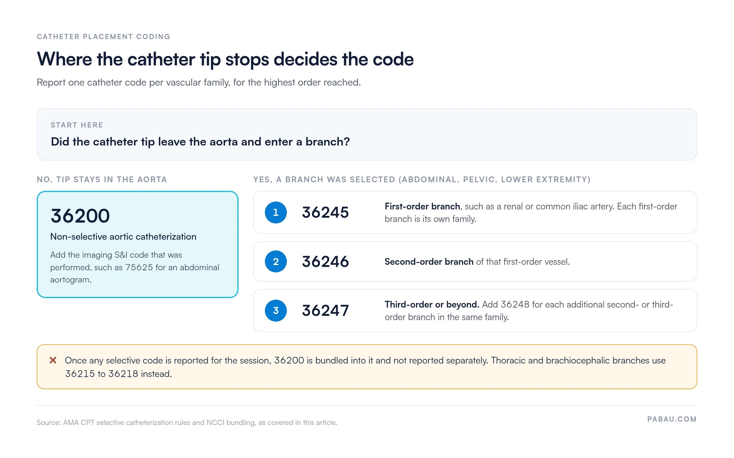 Decision diagram for catheter placement codes: tip stays in the aorta, report 36200 plus the S&I code such as 75625; first-order branch 36245; second-order 36246; third-order or beyond 36247, plus 36248 for each additional second- or third-order branch in the same family; 36200 is bundled into any selective code; thoracic and brachiocephalic branches use 36215 to 36218