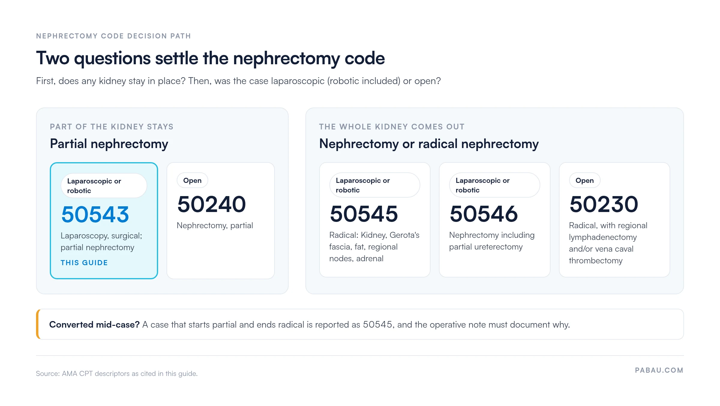 Decision path for nephrectomy CPT codes. Partial nephrectomy: 50543 laparoscopic or robotic, 50240 open. Whole kidney removed: 50545 laparoscopic radical, 50546 laparoscopic nephrectomy including partial ureterectomy, 50230 open radical with regional lymphadenectomy and/or vena caval thrombectomy. A case converted from partial to radical is reported as 50545.