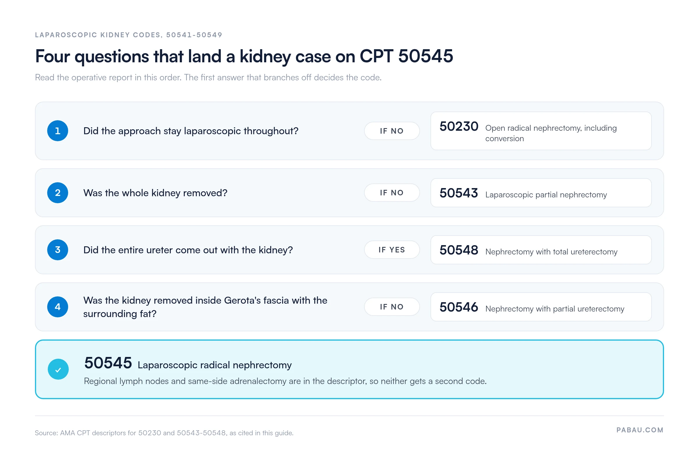 Decision path for laparoscopic kidney codes: not laparoscopic throughout is 50230, kidney not wholly removed is 50543, entire ureter removed is 50548, removed outside Gerota's fascia is 50546, otherwise 50545 laparoscopic radical nephrectomy