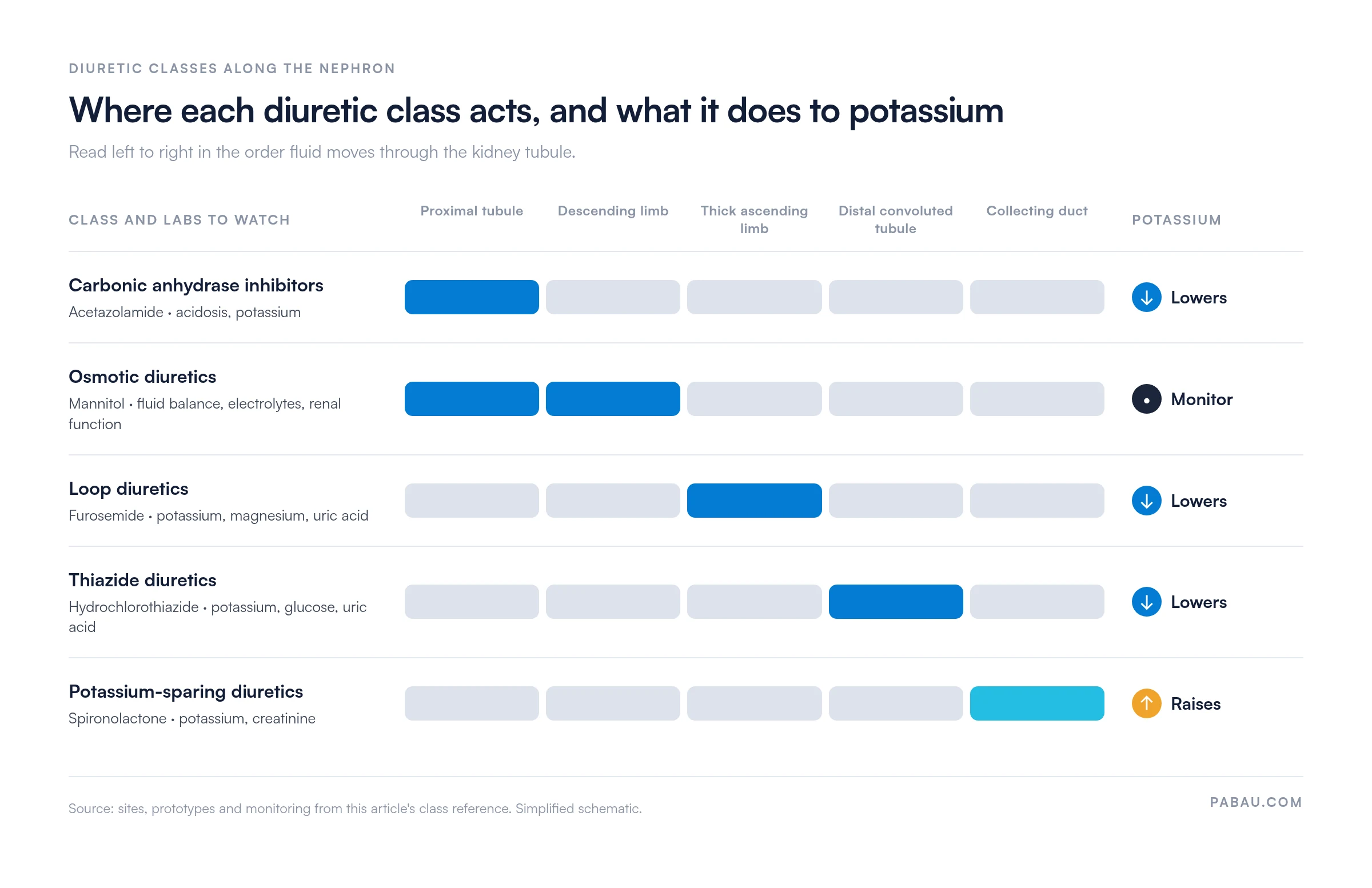 Chart of where the five diuretic classes act along the nephron and their potassium effect