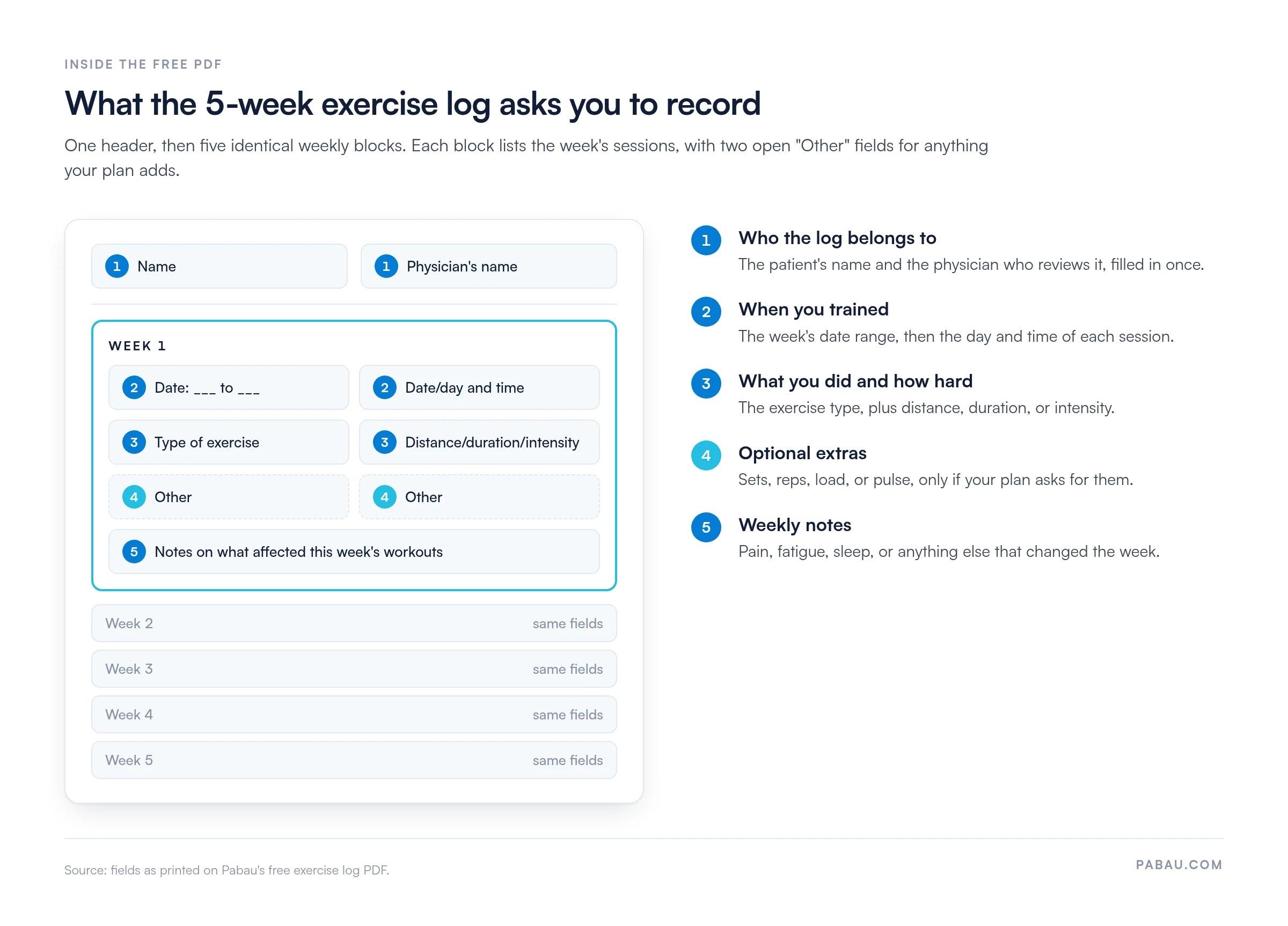 Annotated diagram of the 5-week exercise log PDF