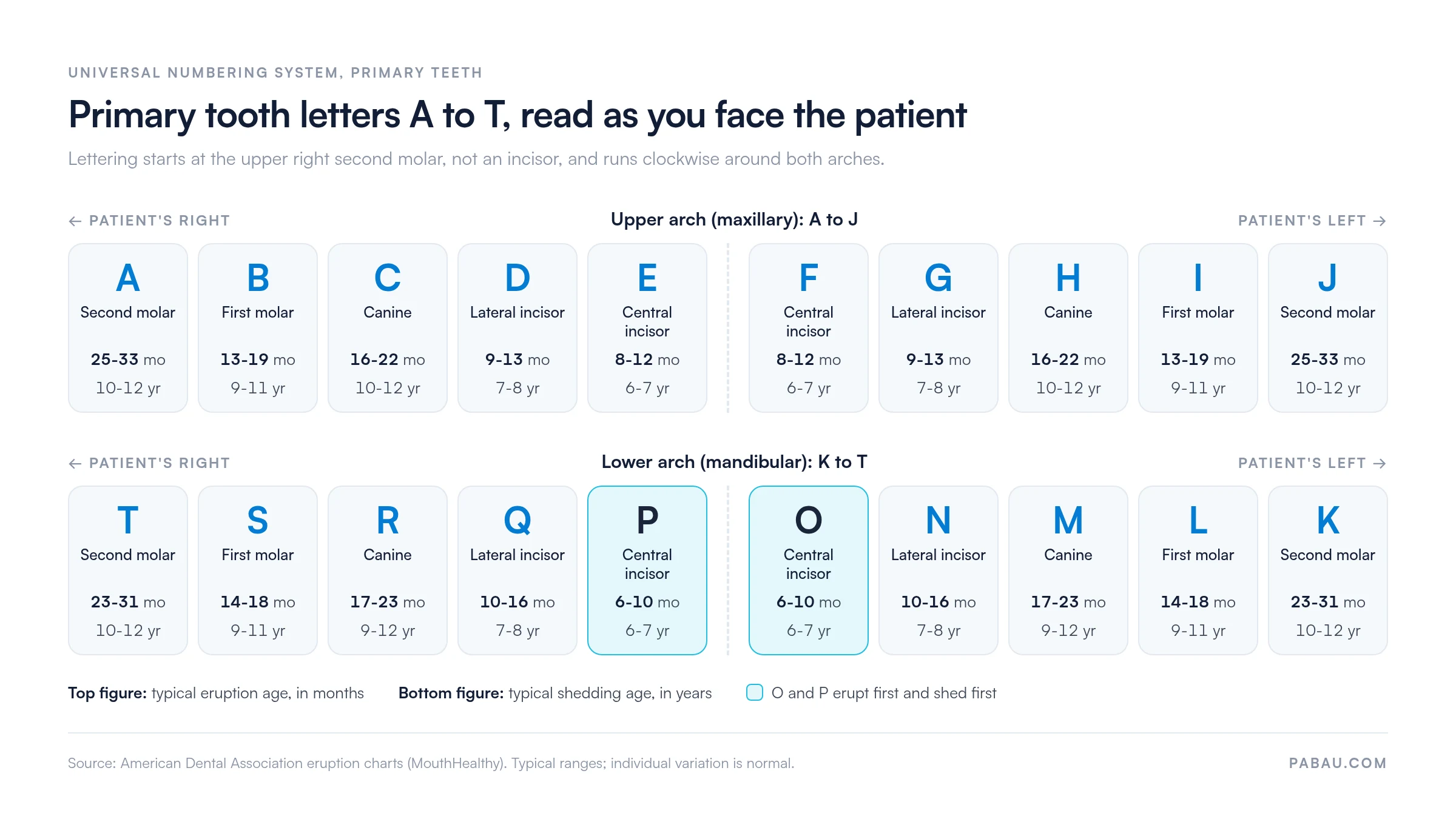 Diagram of primary tooth letters A to T as you face the patient