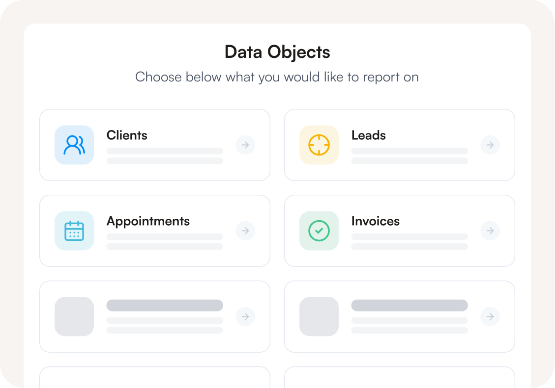Custom report builder Data Objects screen to choose clients, leads, appointments or invoices