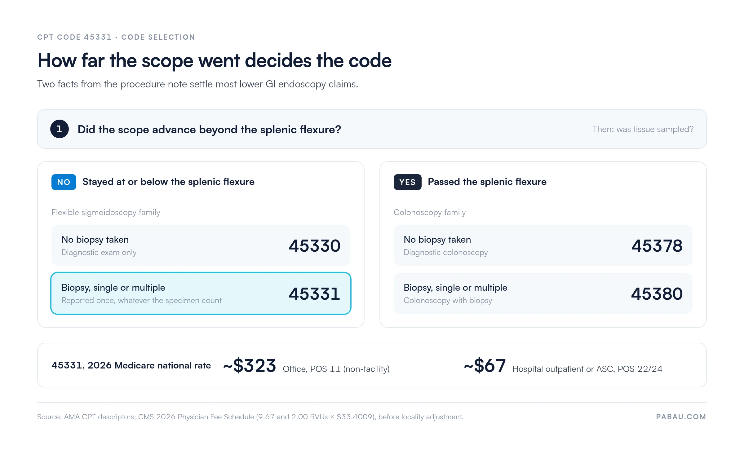 CPT code 45331: Flexible sigmoidoscopy with biopsy billing guide | Pabau