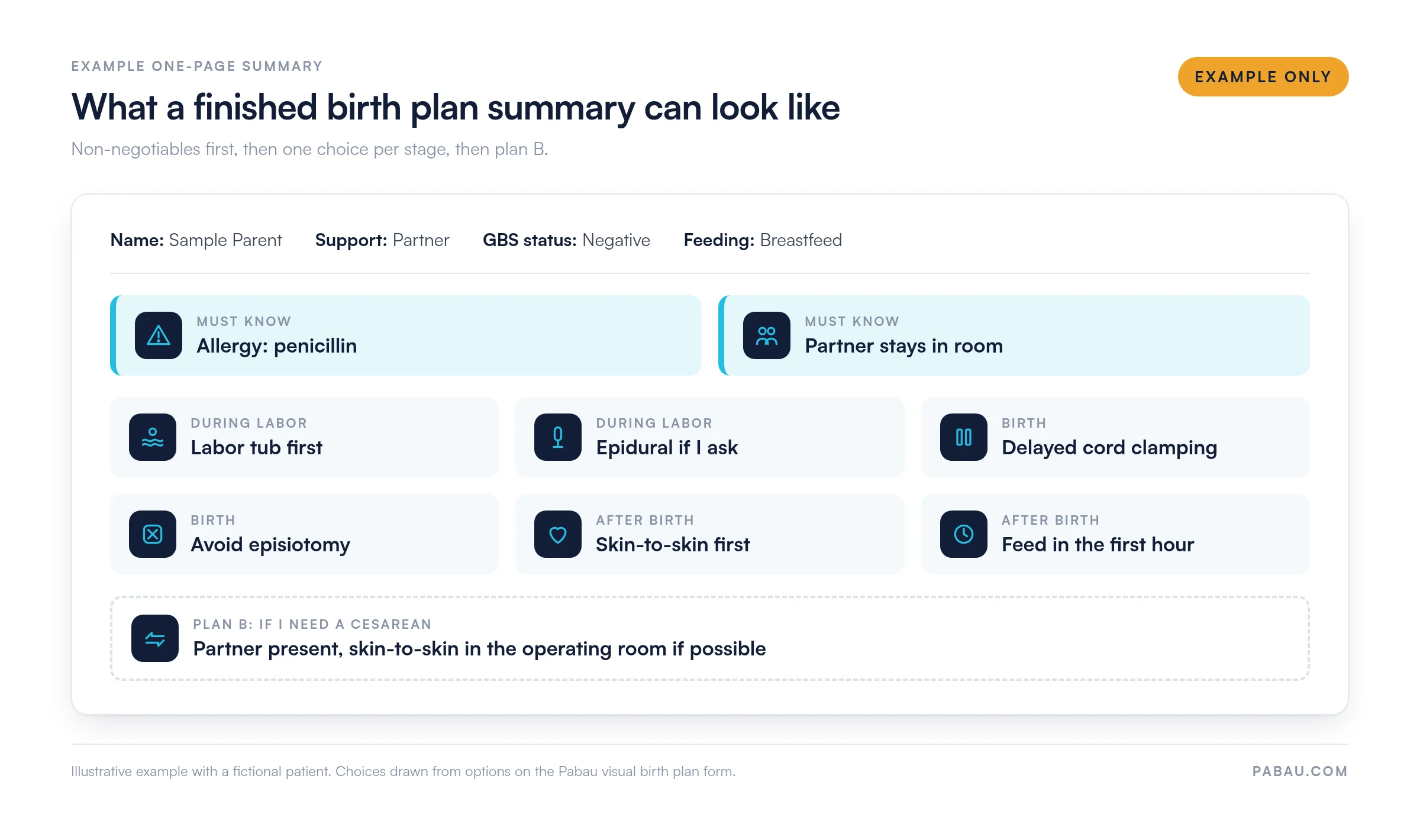 Example one-page birth plan summary for a fictional patient, labeled example only